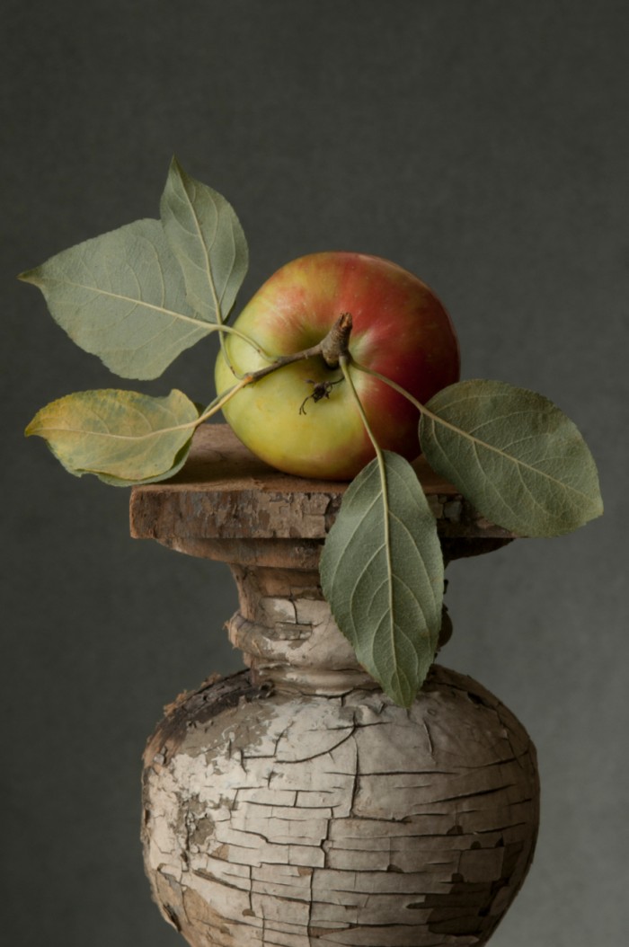 Lynn Karlin: Wild Apple 