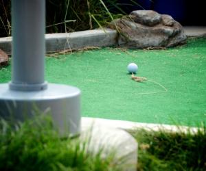 The Mini-Golf Open. Photo: Brian Fountain. 