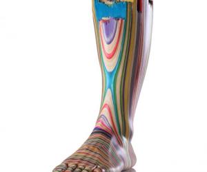 Screaming Foot, 2011. Haroshi. 