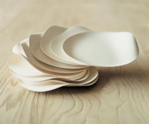 Photo:  WASARA Co., Ltd. www.wasara.jp. 