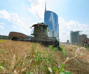 Wheatfield in Milan 2015 by Agnes Denes