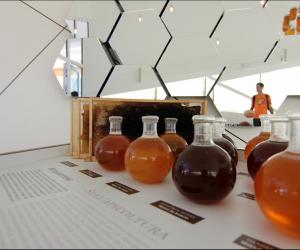Egyptian students designed a new silver and honey-laced material to accelerate the healing speed of diabetics’ wounds. 