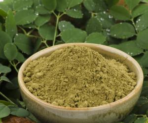 Packed with nutritional and healing properties, several reports have named Moringa, a tree indigenous to Africa, "the miracle tree" and "the tree of life".