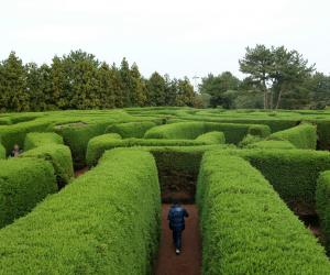 The way participants perform in the virtual maze gives researchers insight into their condition. Image Source: Flickr