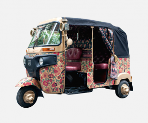 Travels to my Elephant campaign