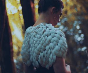Plumage