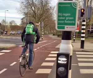 traffic light rotterdam