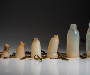 Biodegradable bottle by Ari Jónsson