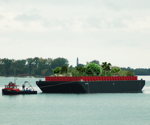 Swale floating food forest