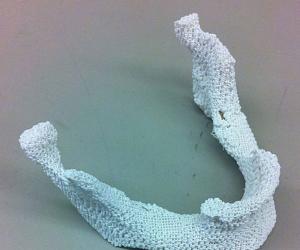 3D printed bone