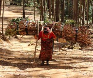 Martha Tadesse captures Ethiopian wood carriers 