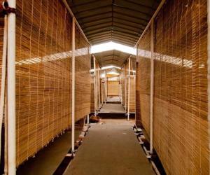 Alok Shetty's slum dwelling design 