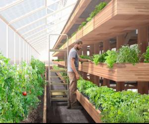 4 Innovative ways to locally grow food  