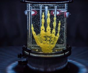 Artist Amy Karle’s Regenerative Reliquary is an open-source biotech project showcasing a human hand grown out of stem cells