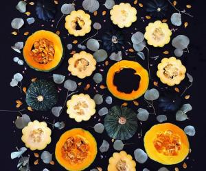 Ugly Produce is Beautiful