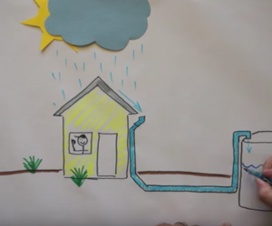 how rain water harvesting can be a game changer