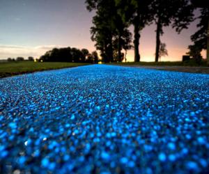 Poland's Illuminating Bike Path