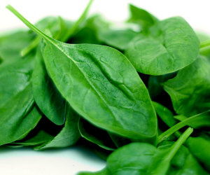Spinach leaves