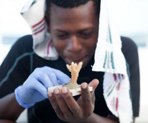 Coral reef 3D printing