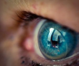 Stock Image by Niel Beck/Flickr 