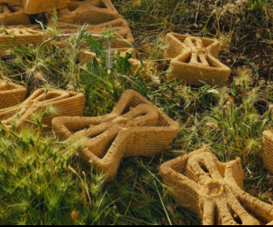 Credit: MTRL, TreeSoil