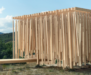 photos: Jonas Zauels