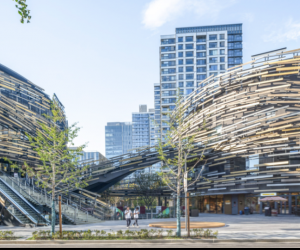 Image by Fangfang Tian