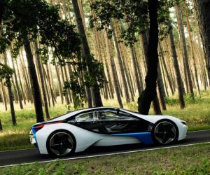 BMW Vision Efficient Dynamics.