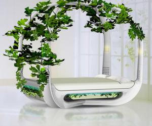 Ecotypic Bed by Arthur Xin. 