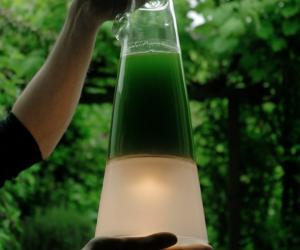 Latro Algae Lamp by Mike Thompson. 