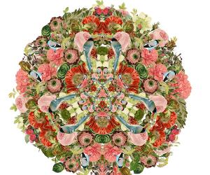 Work by Mandy Roberts. Work by Mandy Roberts.