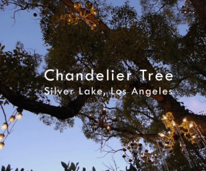 Chandelier Tree. 