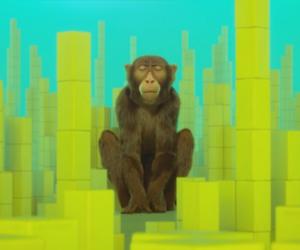 "Light Motif" by Frédéric Bonpapa.