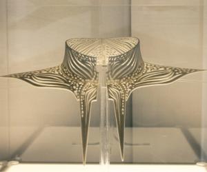 Fashion designer and Emerging Creative 2015 Kiara Gounder integrates advanced 3D printing technology and natural shapes into her designs