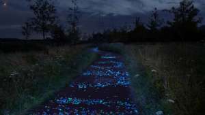 Van Gogh Bicycle Path by Daan Roosegaarde