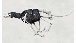 G-Star RAW Skeleton Dog. Image: G-Star RAW. 