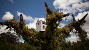 Bee hotel at Babylonstoren.