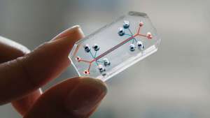 Image of Human Organs-On-Chips