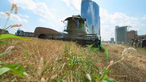 Wheatfield in Milan 2015 by Agnes Denes