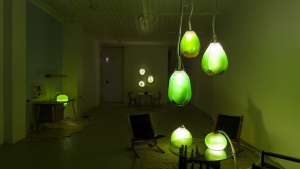 Jacob Douenias and Ethan Frier's exhibition "Living Things", photos by Tom Little, courtesy of the Mattress Factory