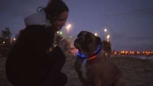 The LED lighting ensures pet safety.
