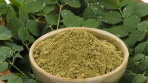 Packed with nutritional and healing properties, several reports have named Moringa, a tree indigenous to Africa, "the miracle tree" and "the tree of life".