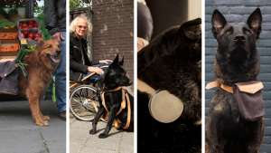 Design Academy Eindhoven student Archibald Godts considers the future of frail care where dogs become helpers to those too frail to care for themselves. 