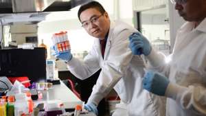 Zhen Gu: A painless patch could mean that millions of diabetes sufferers no longer have to inject themselves.