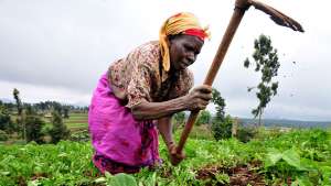 Women tending to farm-fields in Kenya 