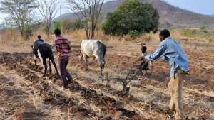 Zambia subsistence farming