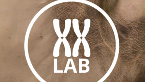 XXLab