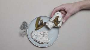 Julia Schwarz - Unseen Edible