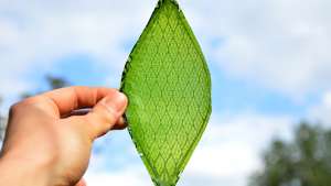 BioSolar Leaf, Arborea