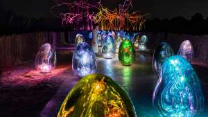 Photographs: TeamLab